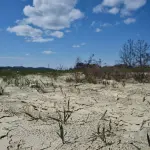 Calabria, dalla CIA un piano straordinario per la manutenzione del territorio
