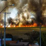Calabria, approvato il Piano antincendi boschivi 2026