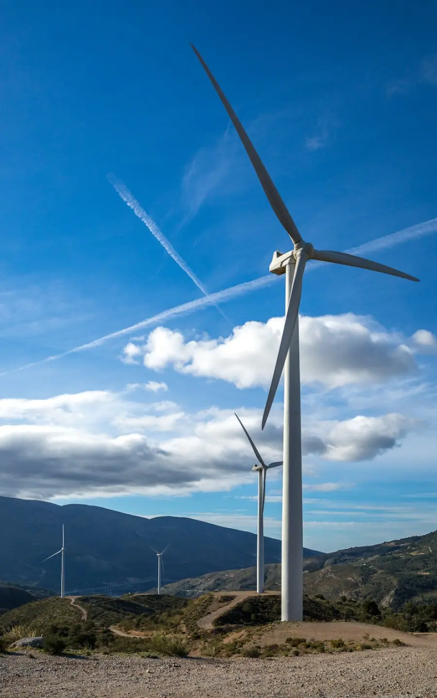 Catanzaro dice no al parco eolico offshore Enotria