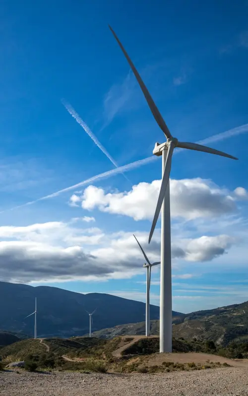 Catanzaro dice no al parco eolico offshore Enotria