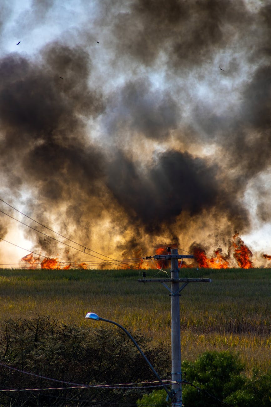 Catanzaro, workshop regionale su incendi boschivi e droni