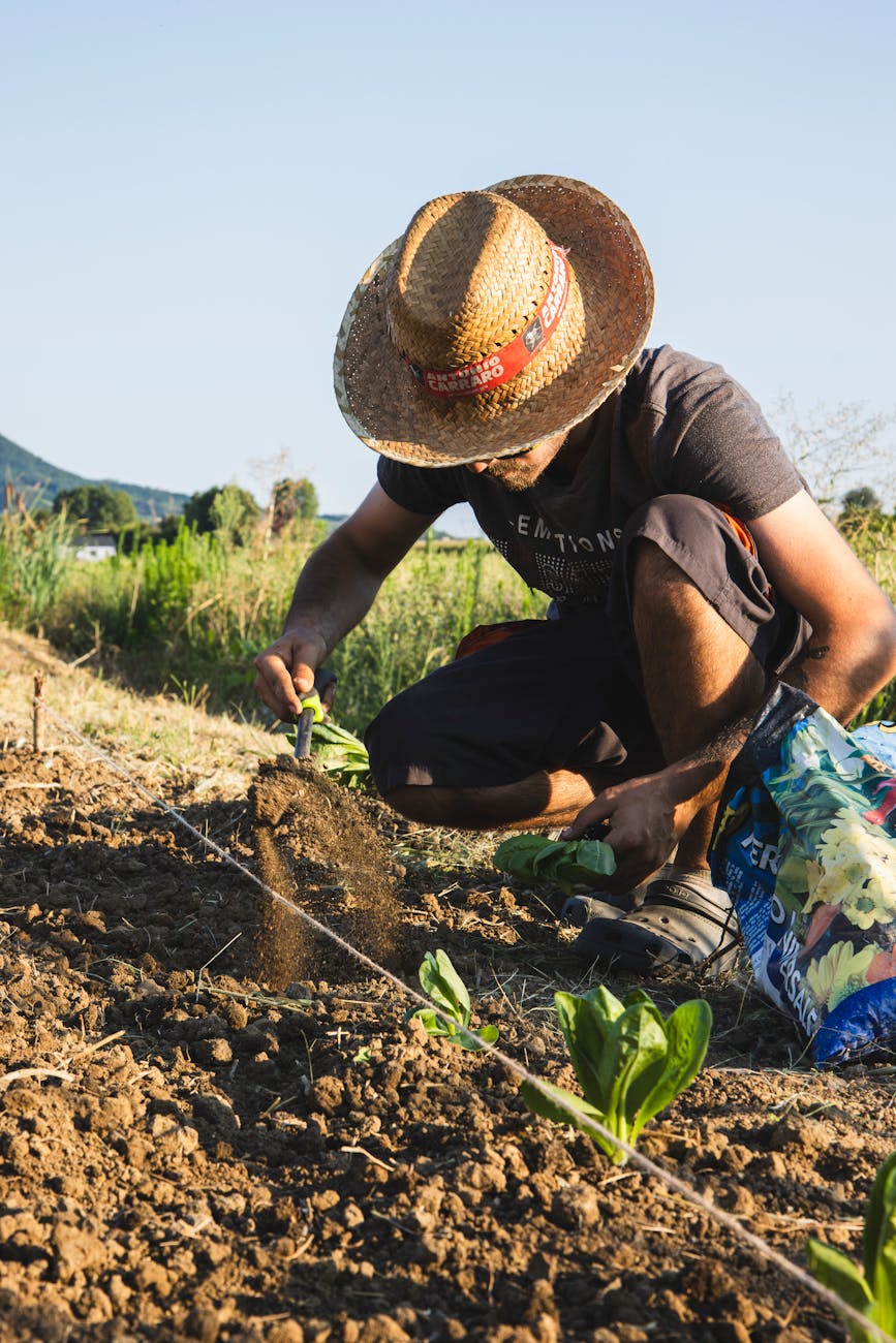 Cia Calabria a Roma: focus su reddito agricolo e territorio
