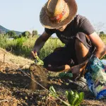 Cia Calabria a Roma: focus su reddito agricolo e territorio