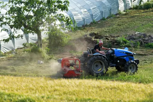 Agricoltura sostenibile, primo incontro a Lamezia il 18 maggio