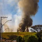 Calabria, dalla scuola agli incendi: via libera a nuovi fondi e piani