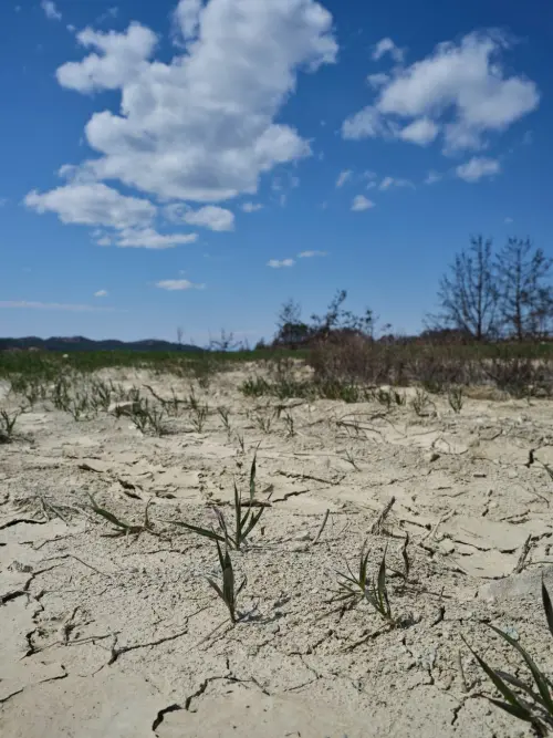 Calabria, piano acqua tra siccità e alluvioni: strategia regionale