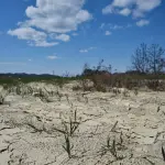 Calabria, piano acqua tra siccità e alluvioni: strategia regionale