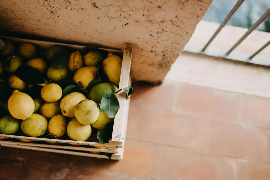 Calabria, limone: bollettino ARSAC contro ragnetto rosso e mal secco