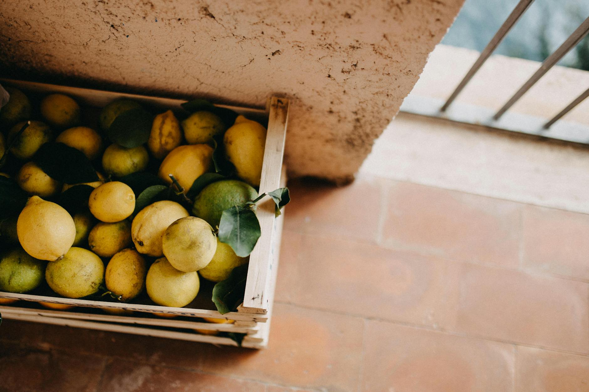 Calabria, limone: bollettino ARSAC contro ragnetto rosso e mal secco