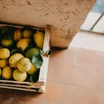 Calabria, limone: bollettino ARSAC contro ragnetto rosso e mal secco