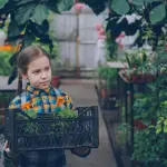 Calabria, scuole al centro della transizione ecologica con il protocollo Eco-Schools