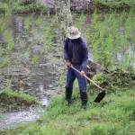 Donne in Campo, Rosa Giovanna Castagna eletta presidente nazionale