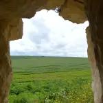 Turismo Verde-Cia, Mario Grillo confermato presidente: l’agriturismo punta su aree interne e multifunzionalità