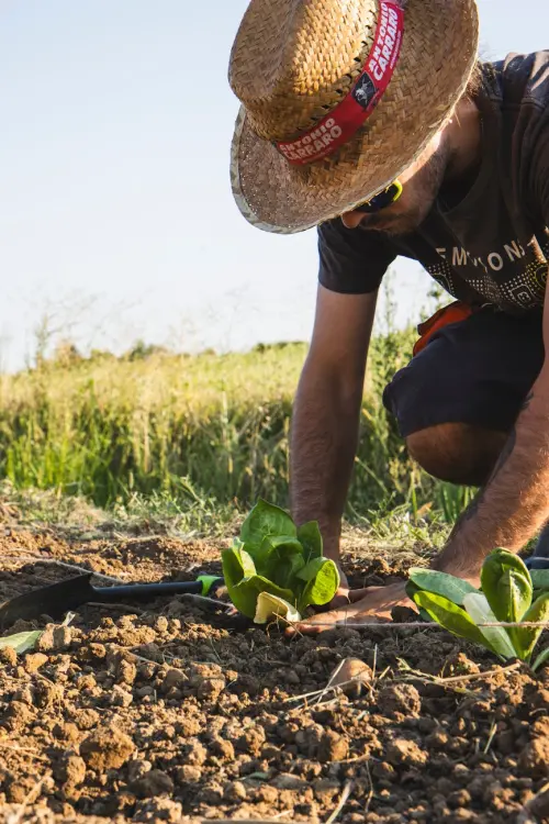 Agia-Cia, Matteo Pagliarani eletto presidente: i giovani rilanciano il futuro dell’agricoltura